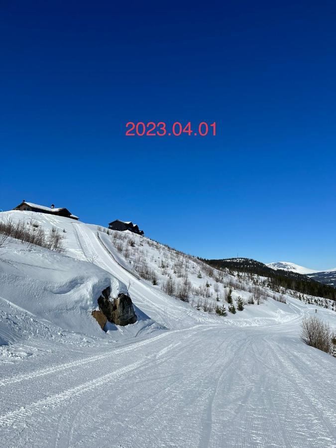 Perfect Moutain Getaway! Beautiful Apartment At Skagahogdi With Panoramic View Gol Dış mekan fotoğraf